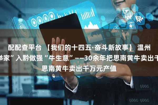 配配查平台 【我们的十四五·奋斗新故事】 温州四兄弟“举家”入黔做强“牛生意”——30余年把思南黄牛卖出千万元产值